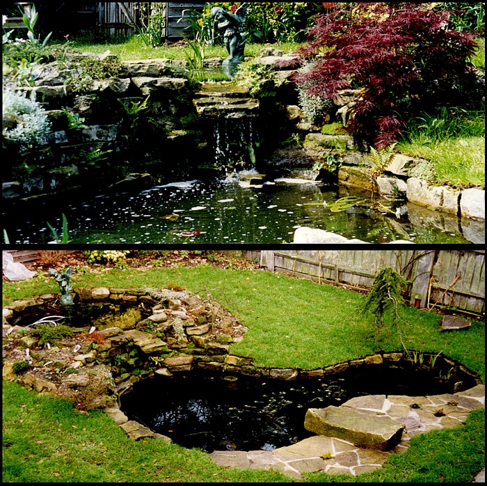 I designed and made these two ponds and landscaped them in a week