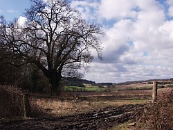 Just a photo of the countryside