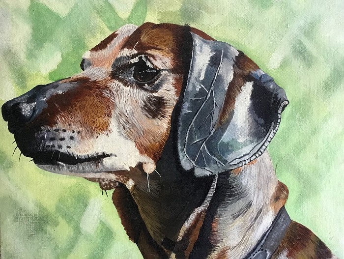 Friends pet dog Commissions taken